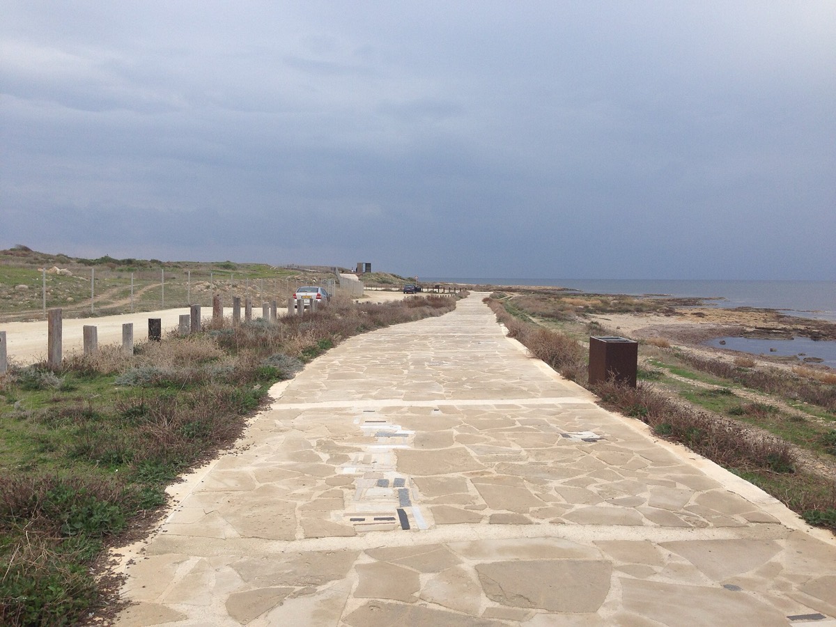 Coastal Boardwalk